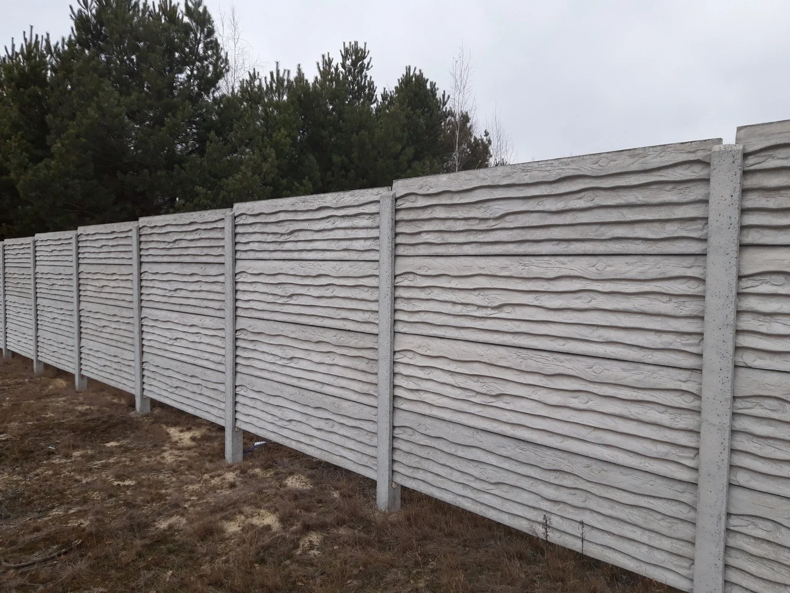 Приклад європаркану під дерево — бетонний забор Дошка Київська область