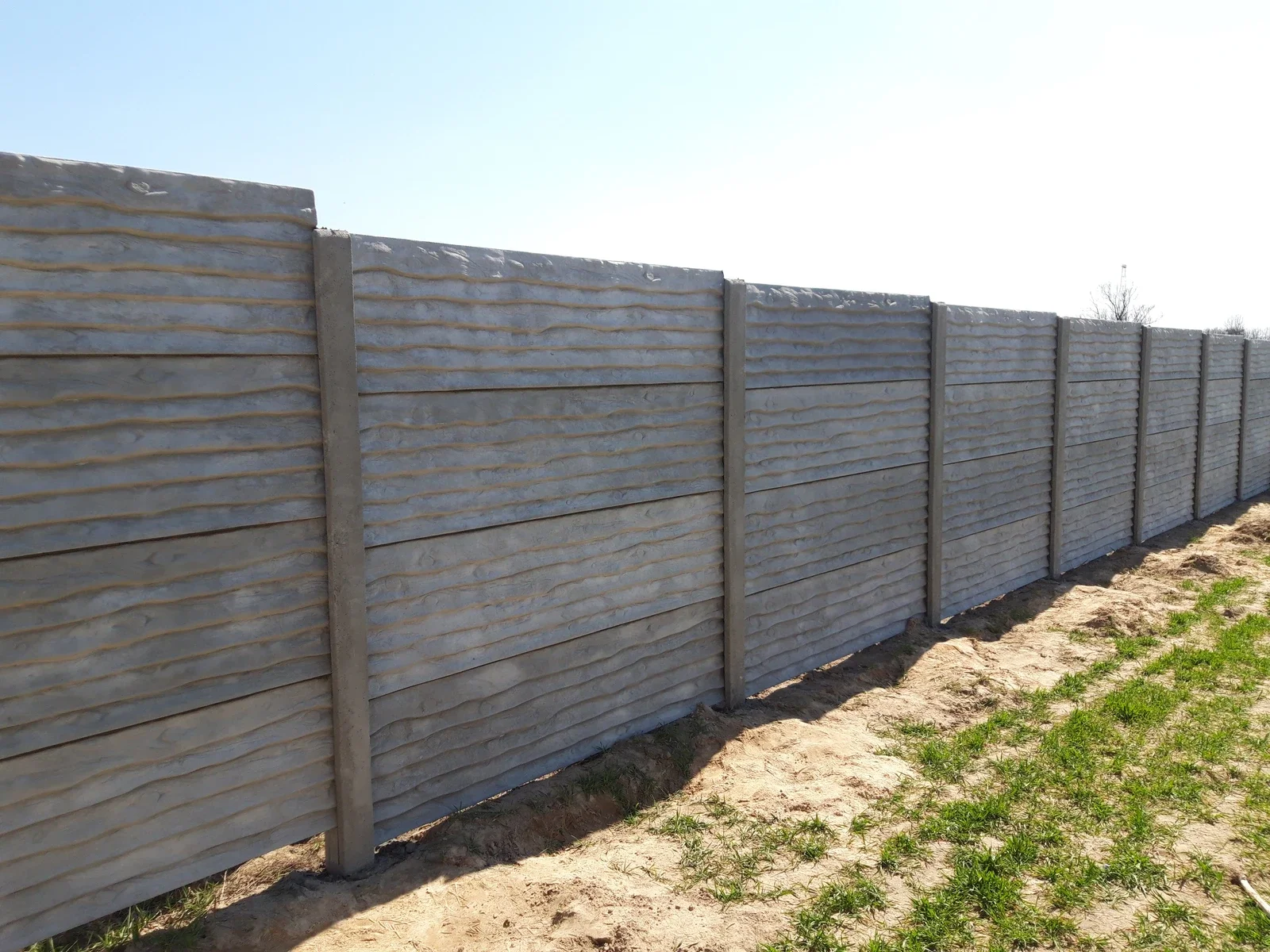 Фото бетонного забору Дошка — встановлений європаркан під дерево Вишгород